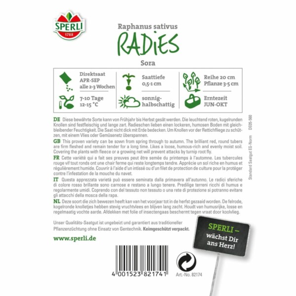 Radieschen 'Sora' – Bild 2