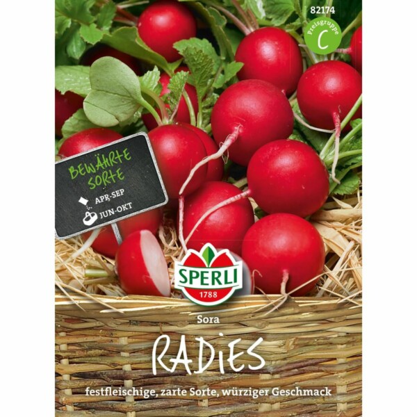 Radieschen 'Sora'