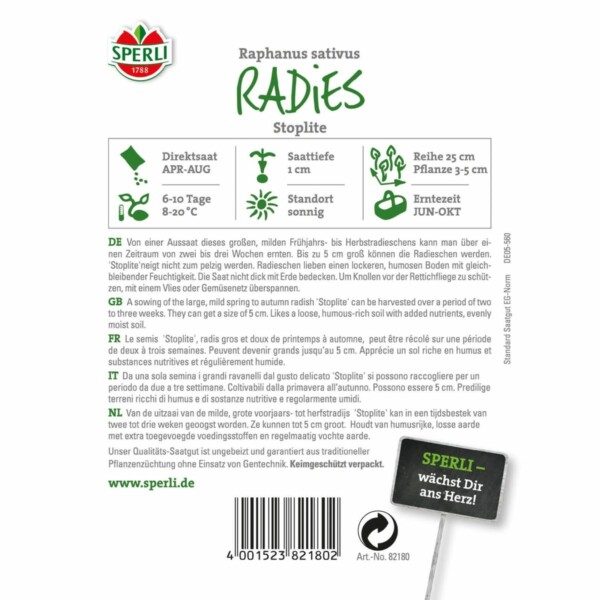 Radieschen 'Stoplite – Originalzüchtung Nebelung' – Bild 2