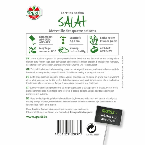 Kopfsalat 'Merveille des quatre saisons' – Bild 2