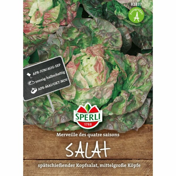 Kopfsalat 'Merveille des quatre saisons'