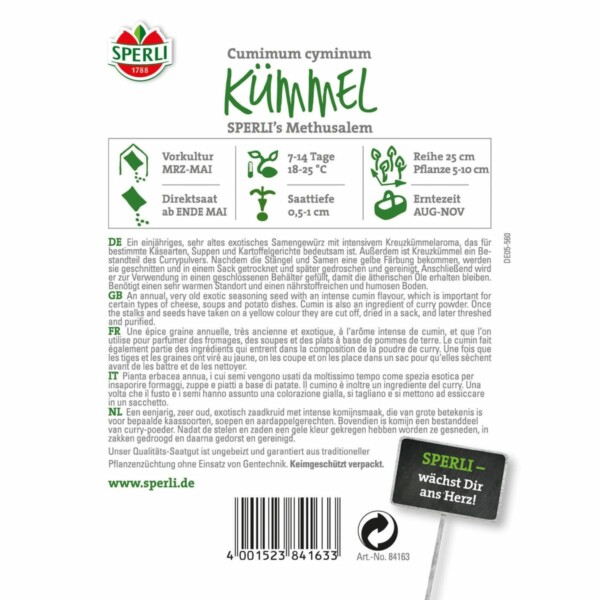 Kreuzkümmel 'Sperli´s  Methusalem' – Bild 2