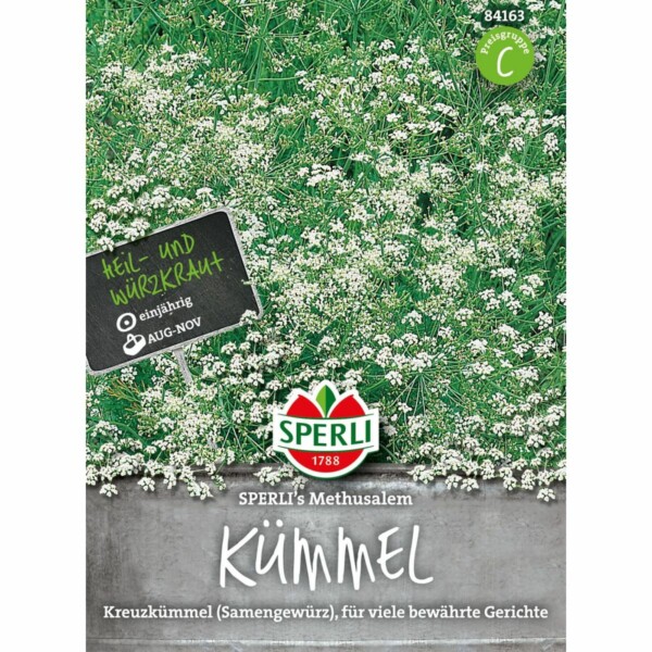 Kreuzkümmel 'Sperli´s  Methusalem'