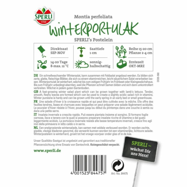 Winterportulak 'Sperli´s Postelein' – Bild 2