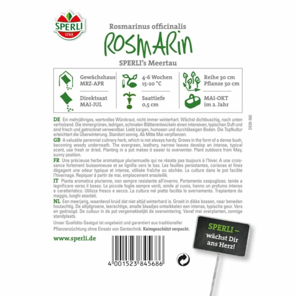 Rosmarin. Meertau – Bild 2