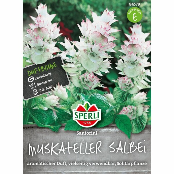 Muskateller-Salbei 'Santorini'
