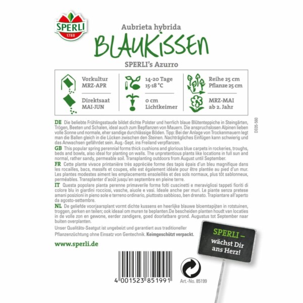 Blaukissen  'Sperli´s Azurro' – Bild 2