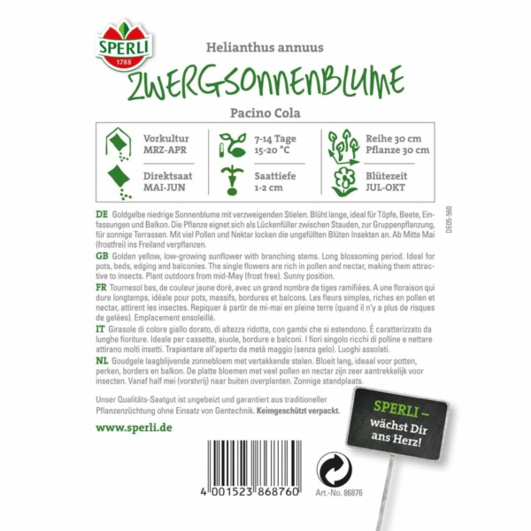 Sonnenblume 'Pacino Cola' – Bild 2