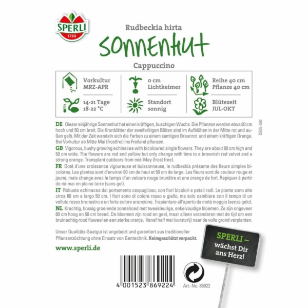 Sonnenhut 'Cappuccino' – Bild 2
