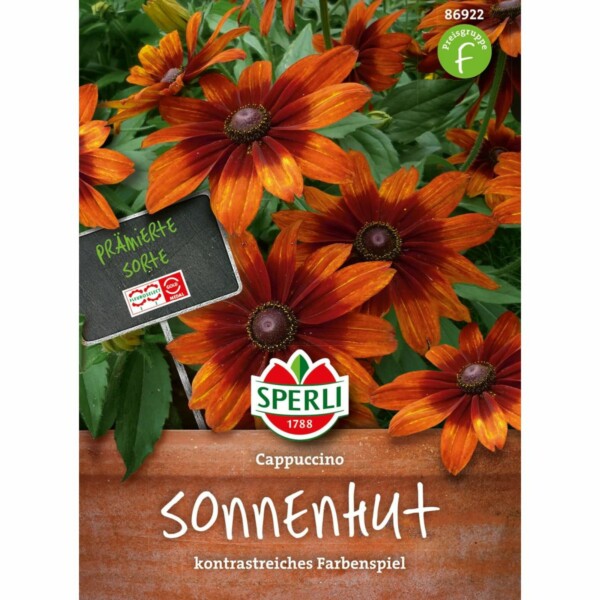 Sonnenhut 'Cappuccino'