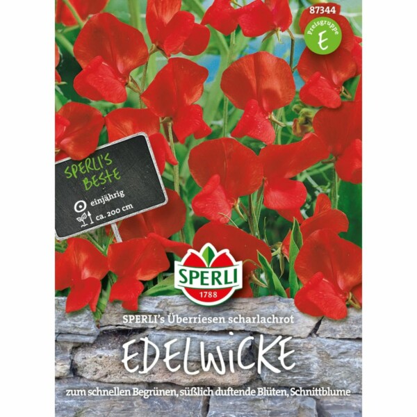 Duftwicke 'SPERLI´s Überriesen scharlachrot'