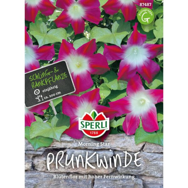 Prunkwinde 'Morning Star'