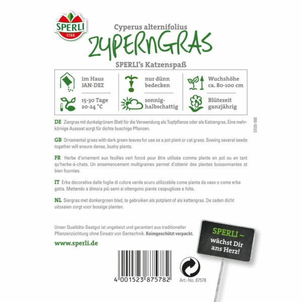 Zyperngras 'SPERLI's Katzenspaß' – Bild 2