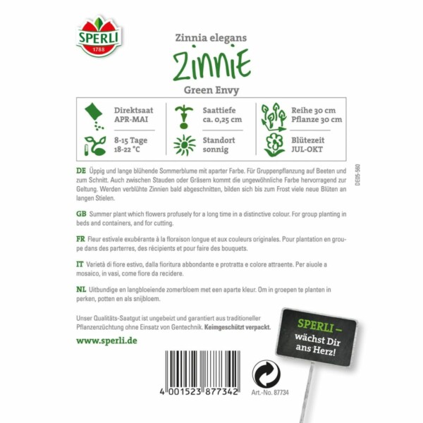 Zinnie 'Green Envy' – Bild 2