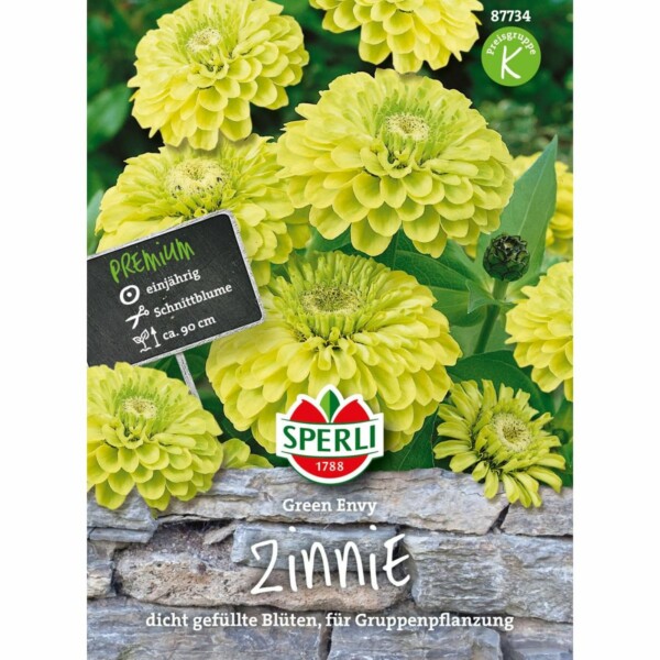 Zinnie 'Green Envy'