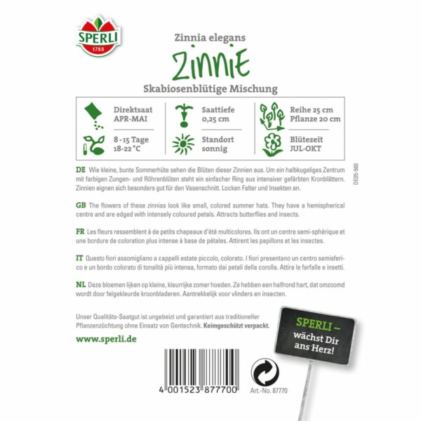 Zinnie 'Skabiosenblütige Mischung' – Bild 2
