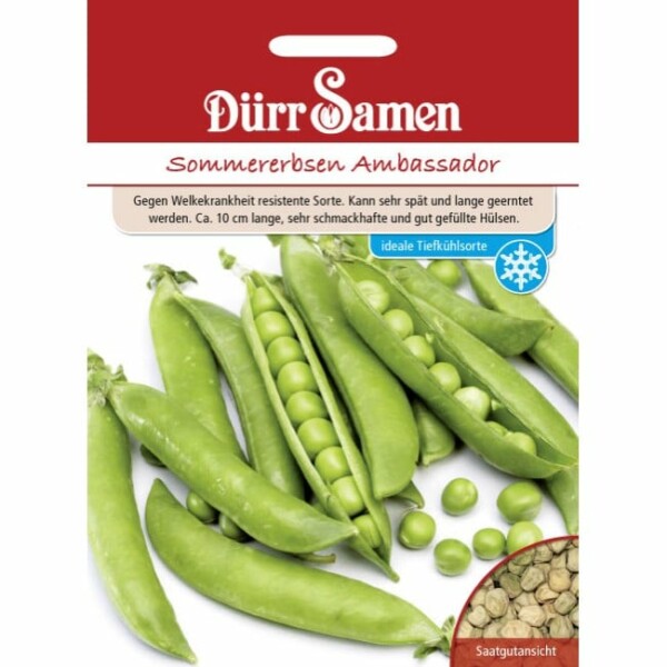 Sommererbsen Ambassador