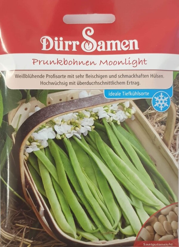 Prunkbohnen Moonlight