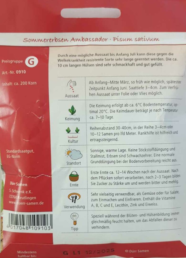 Sommererbsen Ambassador – Bild 2