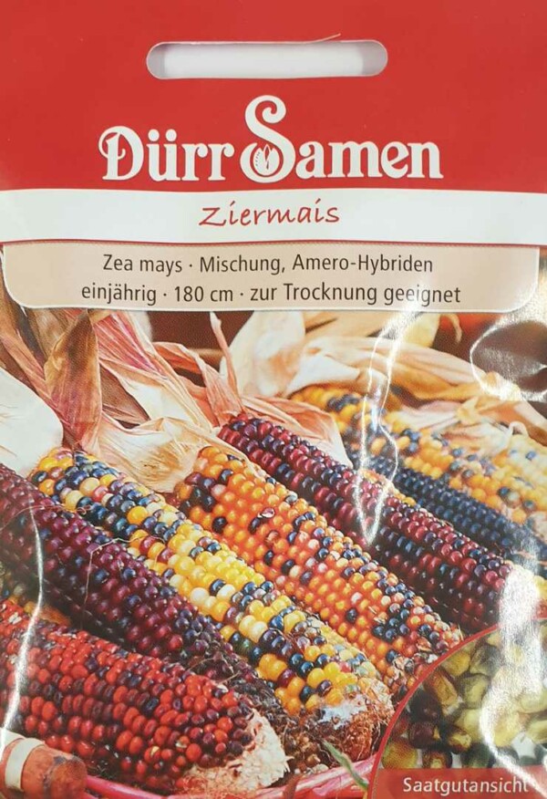 Ziermais