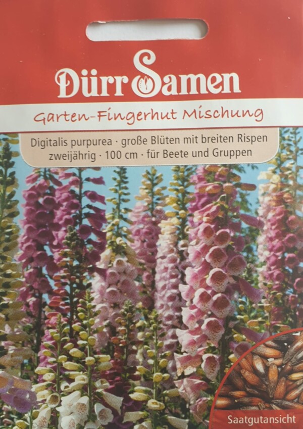 Garten-Fingerhut Mischung - Digitalis Purpurea