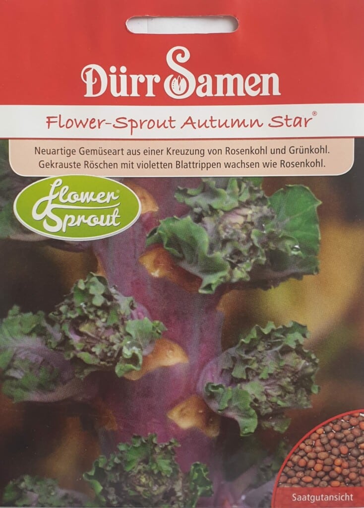 FlowerSprouts Autumn Star Von Dürr Samen Saatgut Shopping