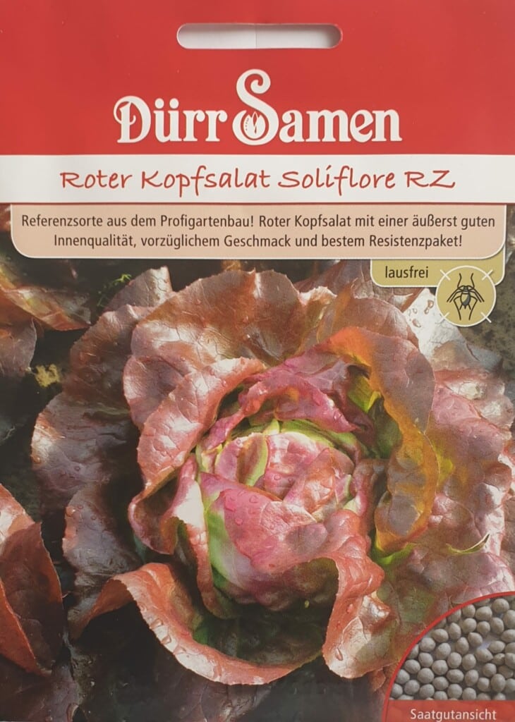 Roter Kopfsalat Soliflore RZ Von Dürr Samen | Saatgut Shopping