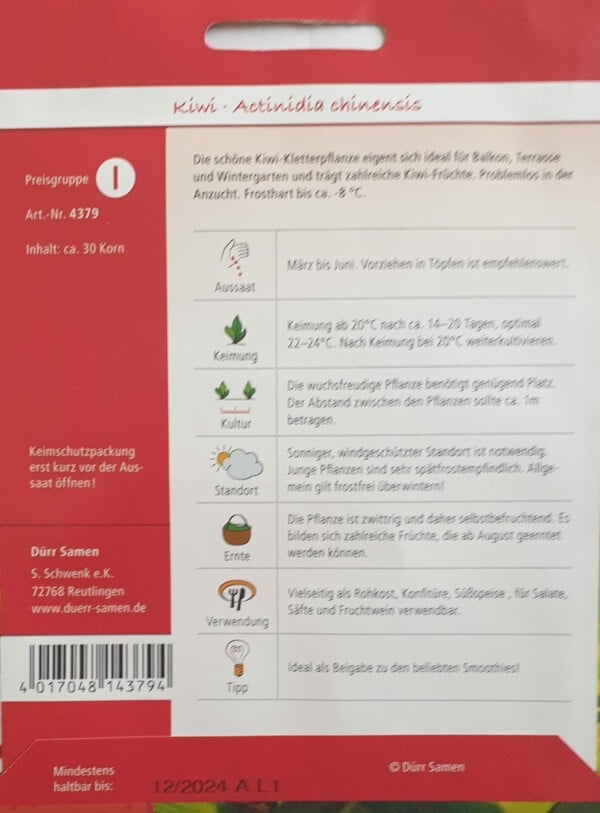 Kiwi – Bild 2