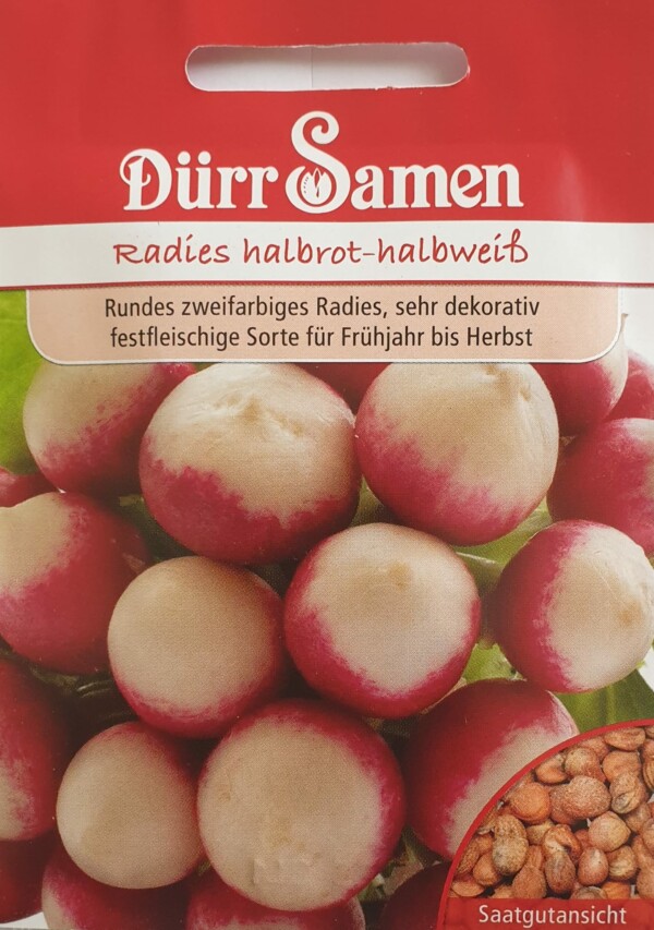 Radies Halbrot-Halbweiß