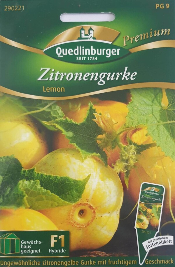 Zitronengurke / Gurke Lemon