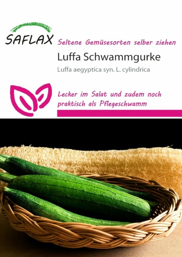 Saflax - Schwammgurke Luffa