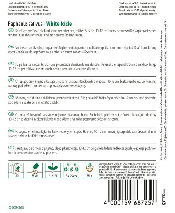 Radieschen White Icicle - Raphanus sativus – Bild 2