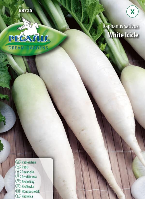 Radieschen White Icicle - Raphanus sativus