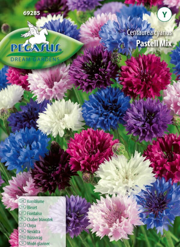 Kornblume Pastell Mix - Centaurea cyanus