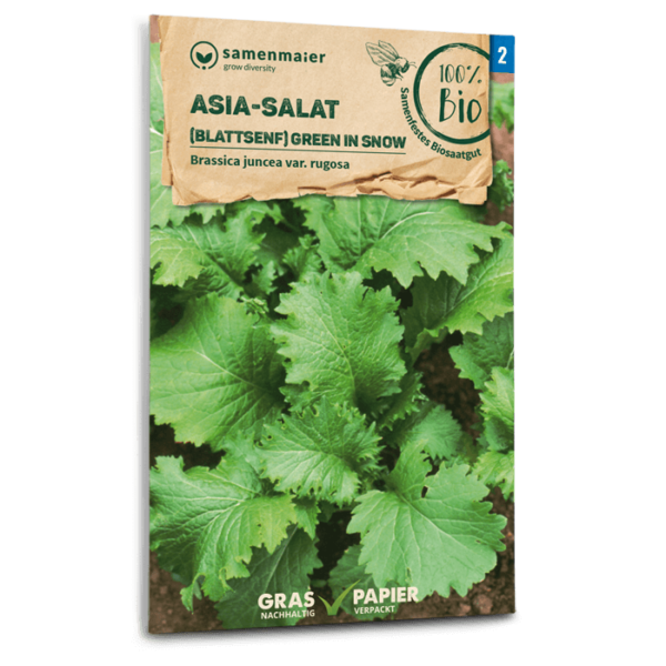 Samen Maier BIO Einzel EAN Asia Salat Blattsenf Green in Snow