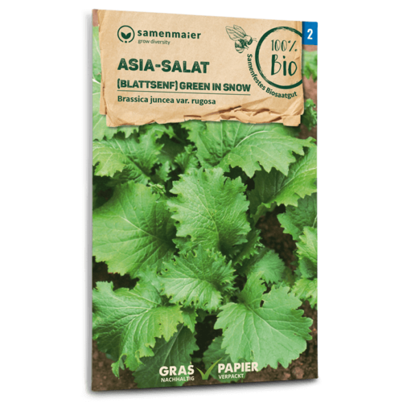 BIO Asia-Salat Green in Snow