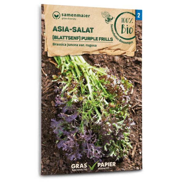 Samen Maier BIO Einzel EAN Asia Salat Blattsenf Purple Frills