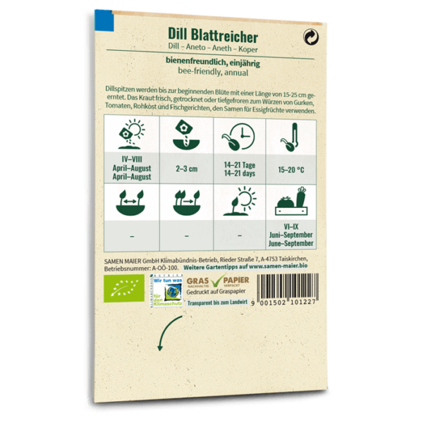 BIO Dill Blattreicher – Bild 2