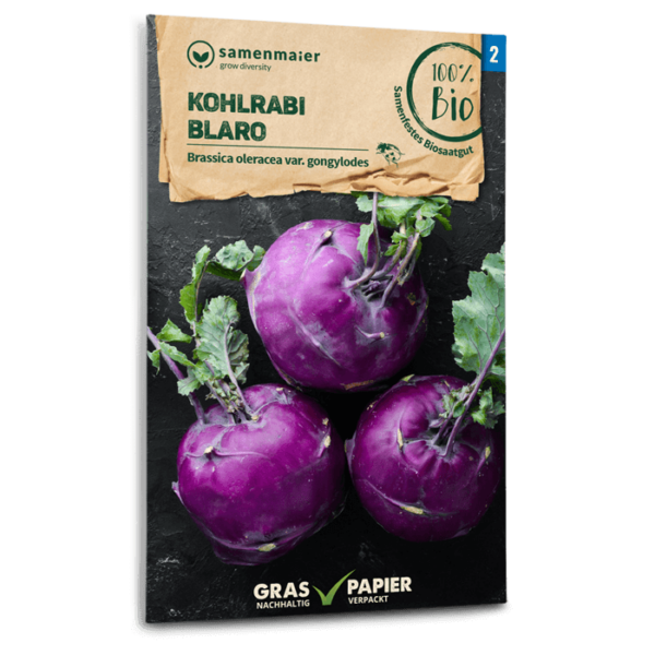 Samen Maier BIO Einzel EAN Kohlrabi Blaro