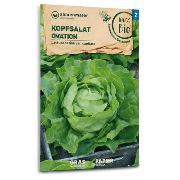 BIO Kopfsalat Ovation