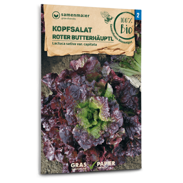 Samen Maier BIO Einzel EAN Kopfsalat Roter Butterhaeuptl